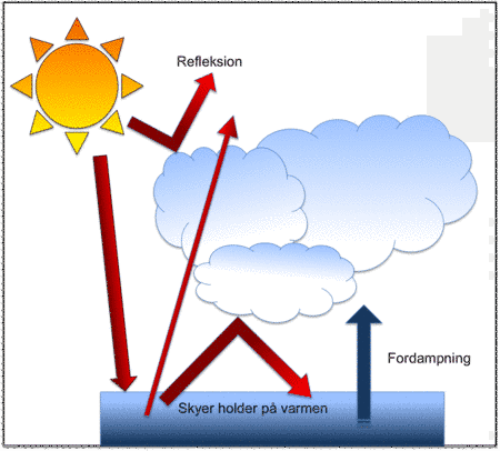 Skyer både køler og varmer vores klima. En del af Solens stråler reflekteres inden de når ind til Jorden. Til gengæld holder skyerne på varmen, og fordampningen fra havene øges pga. den øgede temperatur. Herved dannes flere skyer, der kanholde på varmen. Det kaldes en positiv feedbackmekanisme. Figur: Christina Bramow.