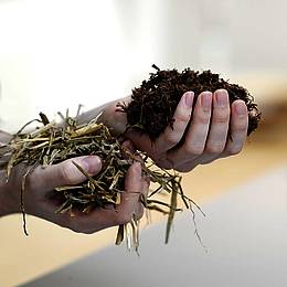Fra halm til bioethanol
