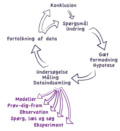 metodemodel_web