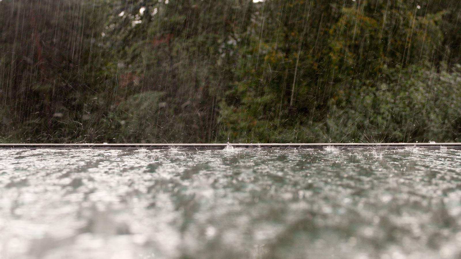 Regn