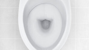 Toiletskyl med regnvand